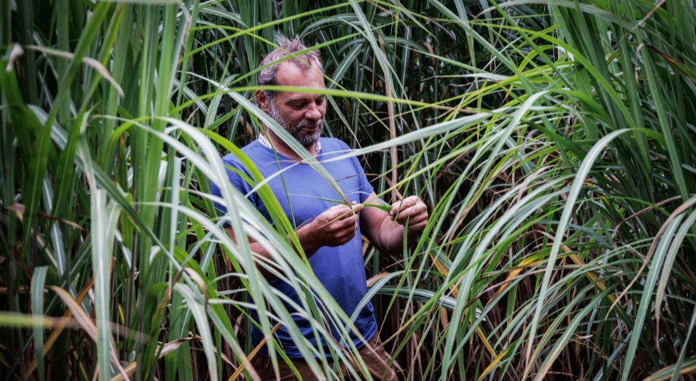 PortraitAdamBrewer 17-08-22aa