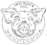 Bruntonna Free Range Pigs